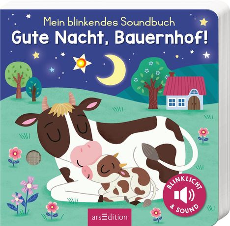 Maria Höck: Mein blinkendes Soundbuch - Gute Nacht, Bauernhof!, Buch