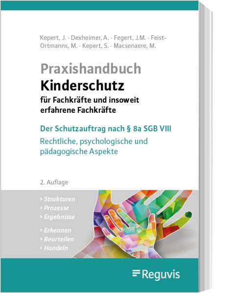 Praxishandbuch Kinderschutz für Fachkräfte und insoweit erfahrene Fachkräfte, Buch