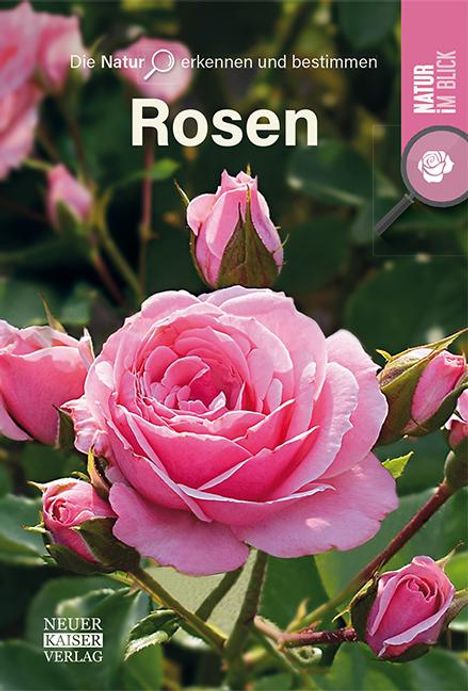 Rosen, Buch