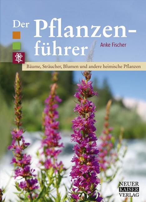 Anke Fischer: Der Pflanzenführer, Buch