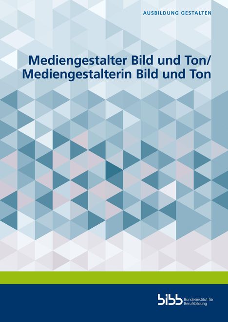 Thomas Bengsch: Mediengestalter Bild und Ton/Mediengestalterin Bild und Ton, Buch