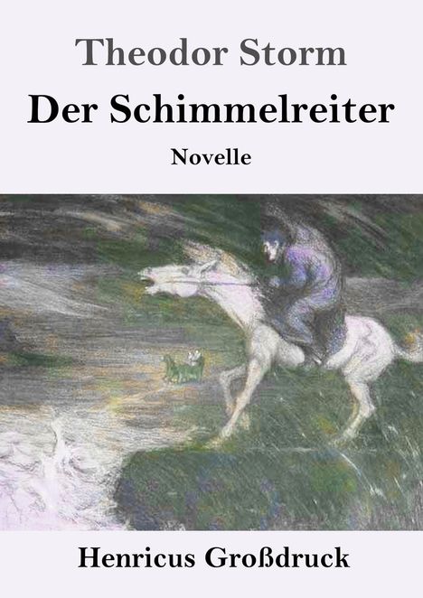 Theodor Storm: Der Schimmelreiter (Großdruck), Buch