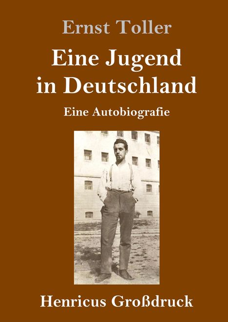 Ernst Toller: Eine Jugend in Deutschland (Großdruck), Buch
