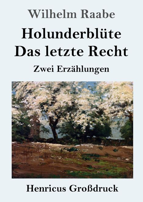 Wilhelm Raabe: Holunderblüte / Das letzte Recht (Großdruck), Buch