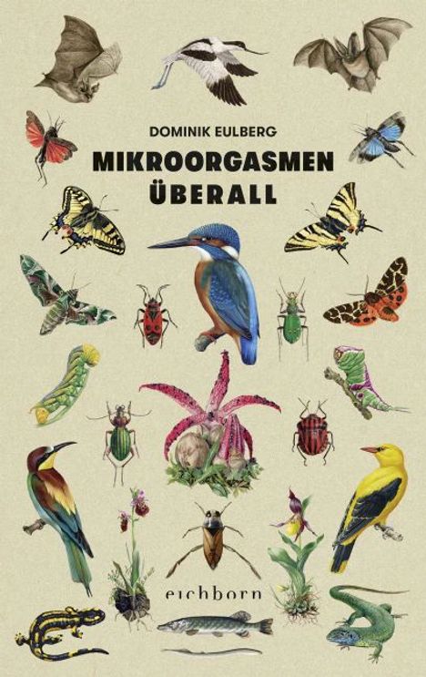 Dominik Eulberg: Mikroorgasmen überall, Buch