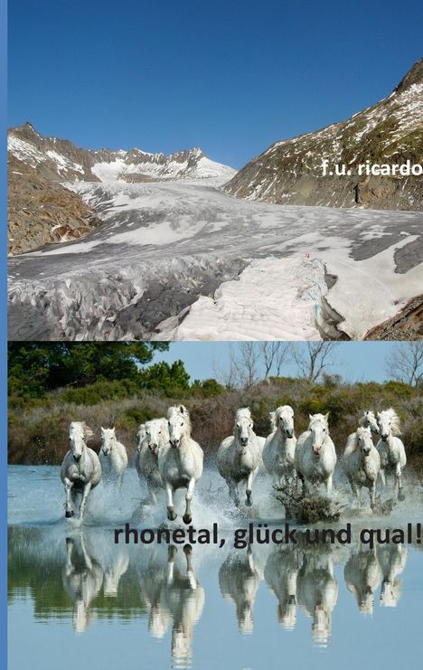 F. U Ricardo: Rhonetal - Glück und Qual!, Buch