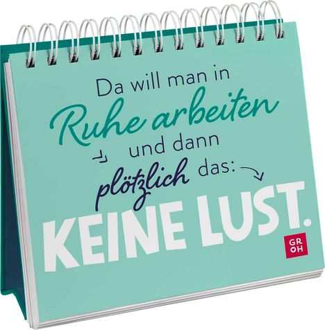 Da will man in Ruhe arbeiten und dann plötzlich das: keine Lust., Buch