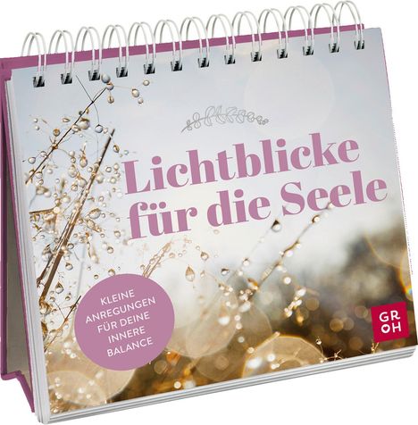 Lichtblicke für die Seele, Buch