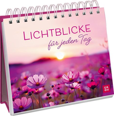 Lichtblicke für jeden Tag, Buch