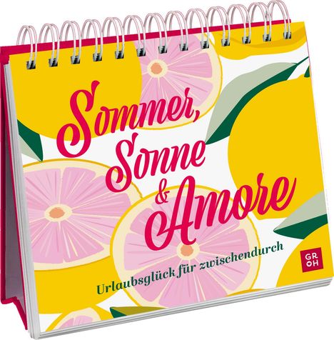 Sommer, Sonne &amp; Amore, Buch