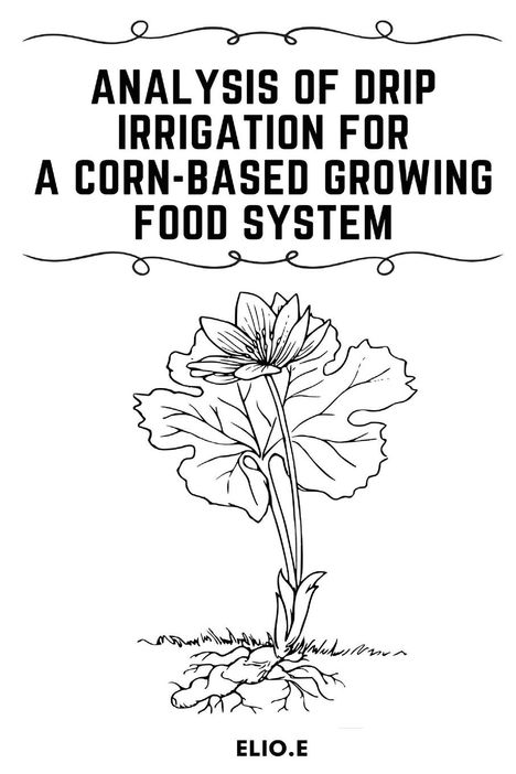 Elio E: Analysis of Drip Irrigation for a Corn-Based Growing food System, Buch