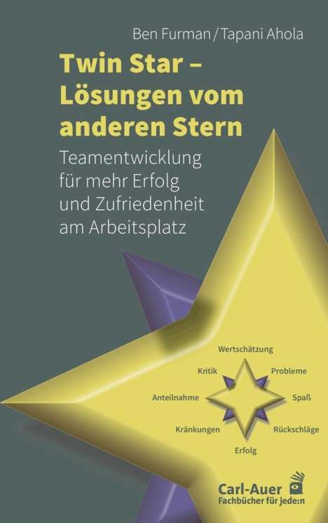 Ben Furman: Twin Star - Lösungen von anderen Stern, Buch