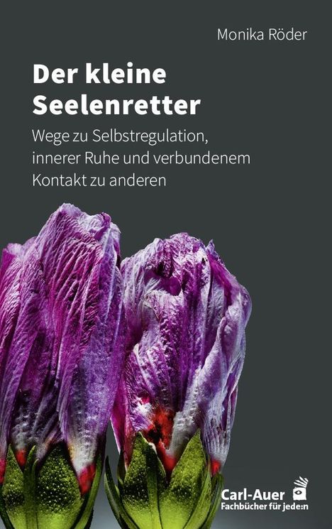 Monika Röder: Der kleine Seelenretter, Buch