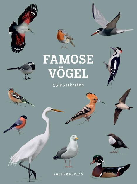 Famose Vögel - Postkartenbuch, Buch