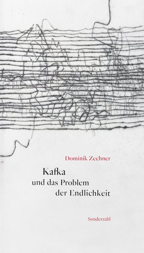 Dominik Zechner: Kafka und das Problem der Endlichkeit, Buch