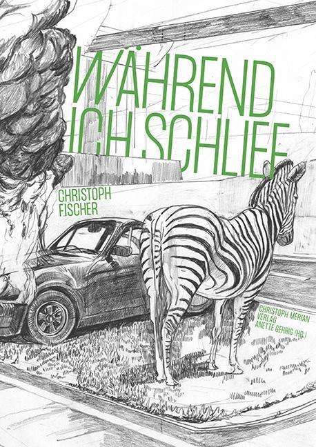 Christoph Fischer - Während ich schlief, Buch