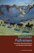 Ursula Bauer: Veltliner Fußreisen, Buch