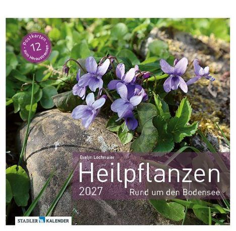 "Heilpflanzen 2027: Rund um den Bodensee" und "12 Postkarten zum Herausnehmen". Violette Blumen auf Felsen.