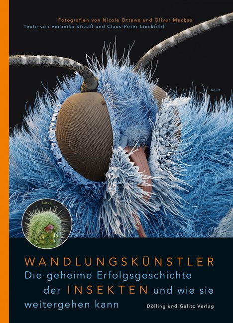 Veronika Straaß: Wandlungskünstler. Die geheime Erfolgsgeschichte der Insekten und wie sie weitergehen kann, Buch