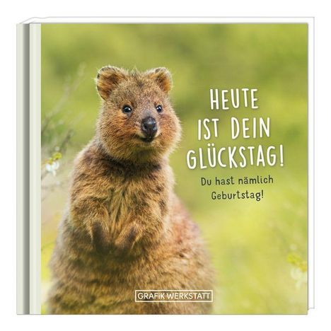 Heute ist dein Glückstag!, Buch