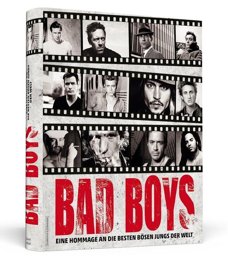 Birgit Krols: Bad Boys, Buch