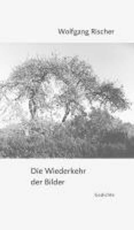 Wolfgang Rischer: Die Wiederkehr der Bilder, Buch