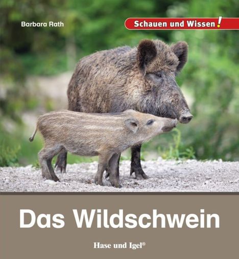Barbara Rath: Das Wildschwein, Buch
