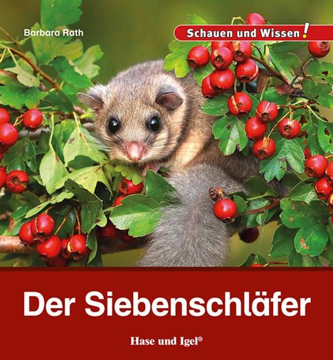 Barbara Rath: Der Siebenschläfer, Buch