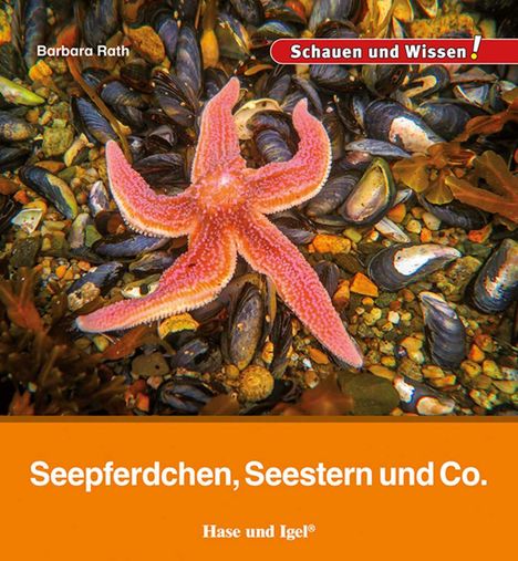 Barbara Rath: Seepferdchen, Seestern und Co., Buch