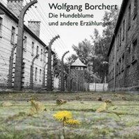 Wolfgang Borchert: Die Hundeblume, CD