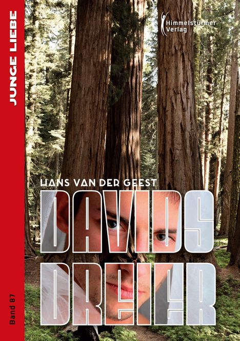 Hans van der Geest: Davids Dreier, Buch