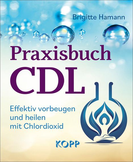 Brigitte Hamann: Praxisbuch CDL, Buch