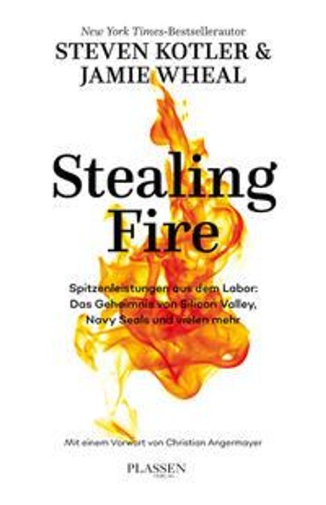 Steven Kotler: Stealing Fire, Buch