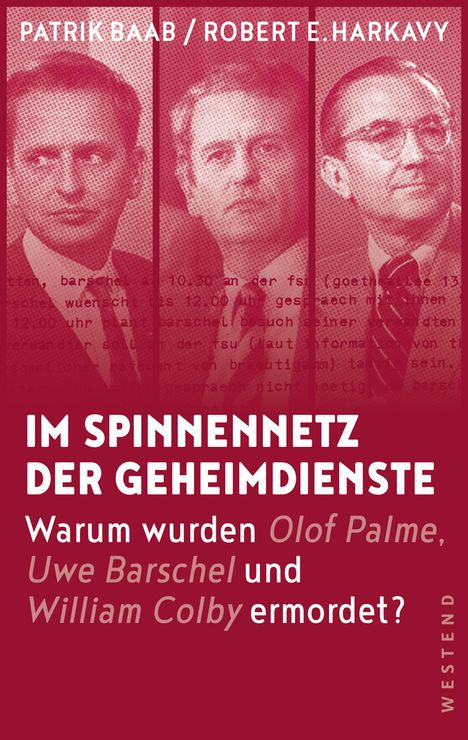 Patrik Baab: Im Spinnennetz der Geheimdienste, Buch