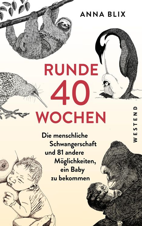 Anna Blix: Runde 40 Wochen, Buch