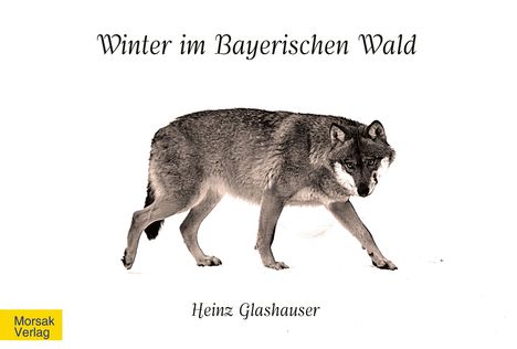 "Winter im Bayerischen Wald", darunter "Heinz Glashauser". Ein Wolf schleicht auf weißem Hintergrund. Links unten gelb: "Morsak Verlag".