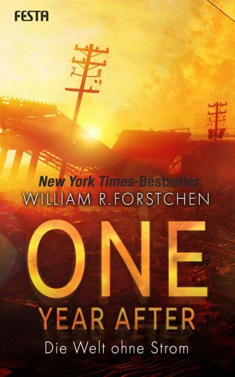 William R. Forstchen: One Year After - Die Welt ohne Strom, Buch