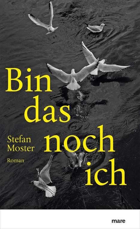 Stefan Moster: Bin das noch ich, Buch
