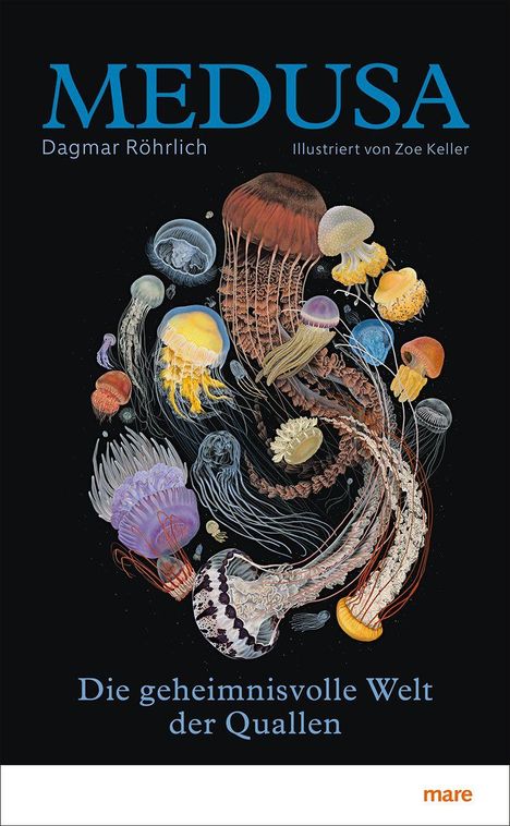 "MEDUSA" und "Die geheimnisvolle Welt der Quallen" in blauer Schrift. Darunter bunte Quallen-Illustrationen auf schwarzem Hintergrund.