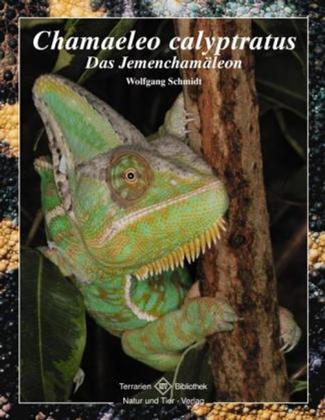 Wolfgang Schmidt: Chamaeleo calyptratus, Buch