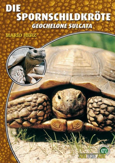 Mario Herz: Die Spornschildkröte, Buch