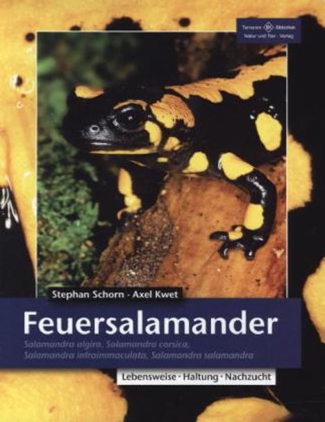 Stefan Schorn: Feuersalamander, Buch