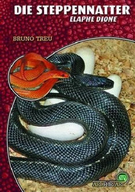 Bruno Treu: Die Steppennatter, Buch