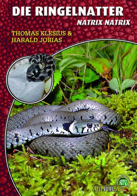 Thomas Klesius: Die Ringelnatter, Buch
