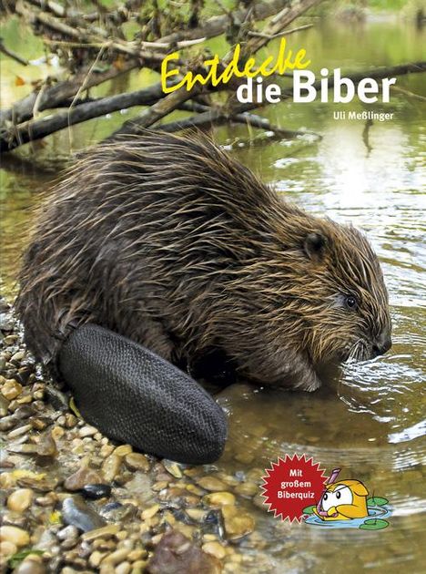 Ulrich Meßlinger: Entdecke die Biber, Buch