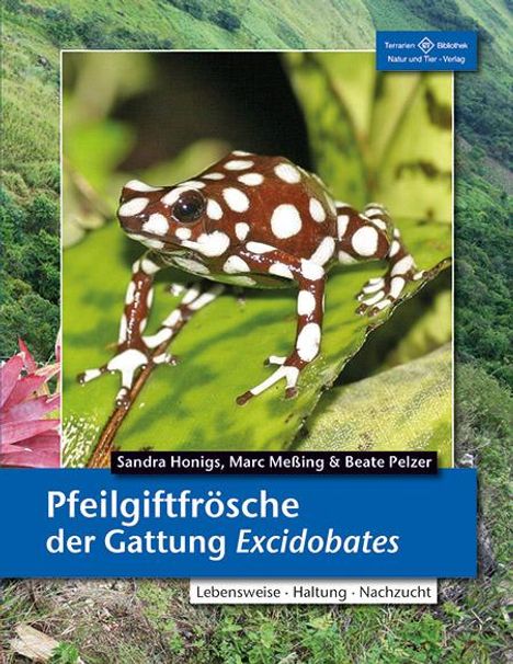 Sandra Honigs: Pfeilgiftfrösche der Gattung Excidobates, Buch