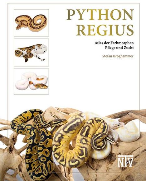 Stefan Broghammer: Python regius, Buch