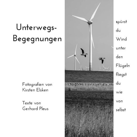 Gerhard Pleus: Pleus, G: Unterwegs - Begegnungen, Buch