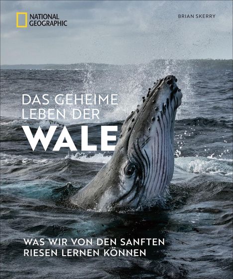 Brian Skerry: Das geheime Leben der Wale, Buch