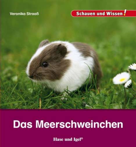Veronika Straaß: Das Meerschweinchen, Buch